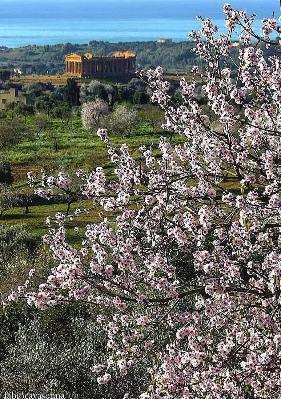 Casa Vacanze Villa Eolo Agrigento Eksteriør bilde